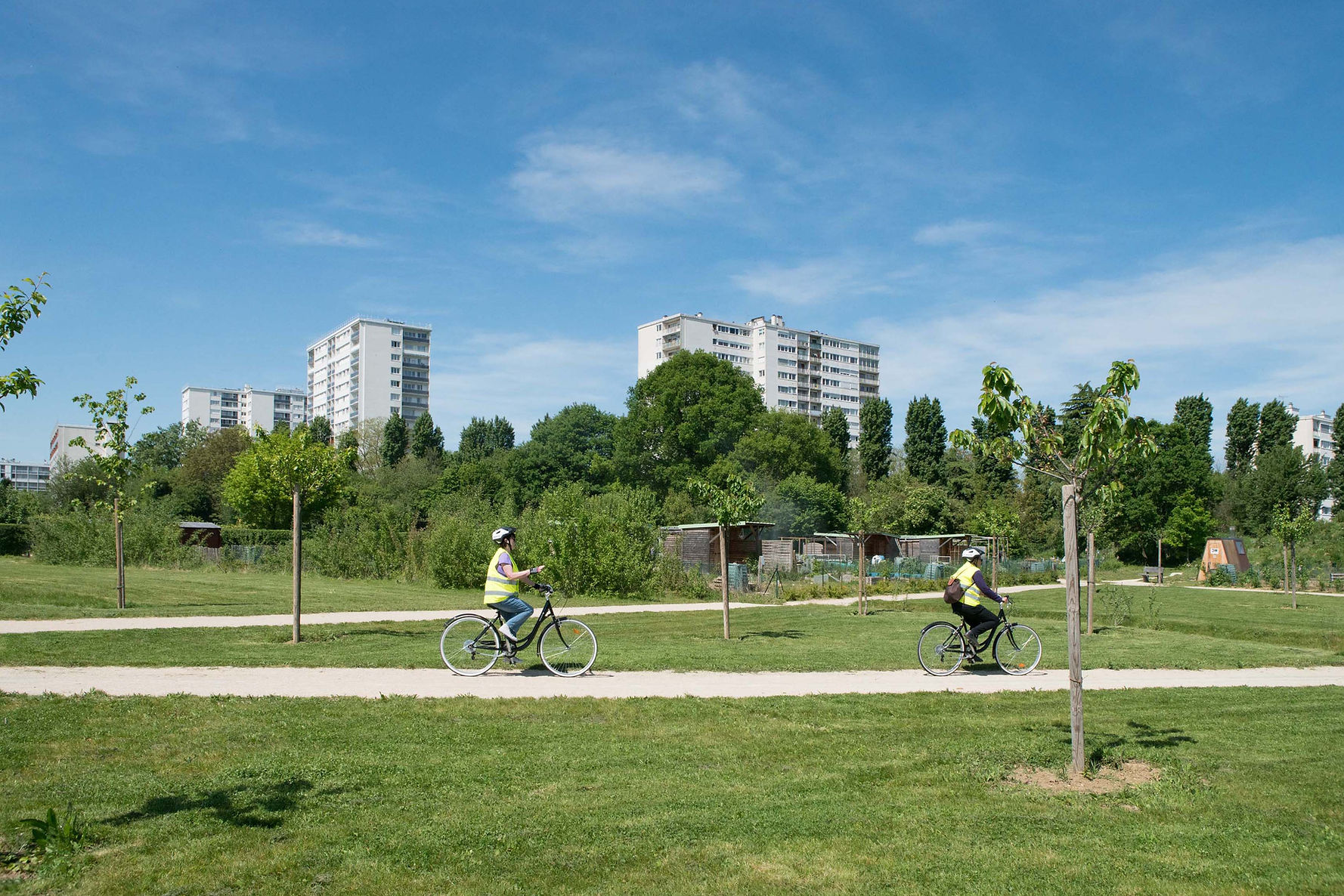 apprendre à faire du vélo adulte et enfant, provelo